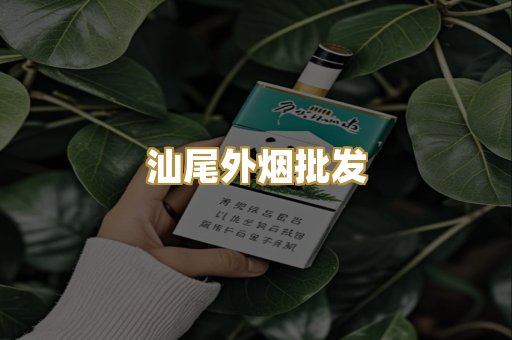 汕尾外烟批发